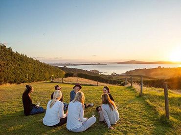 Wineries of Waiheke